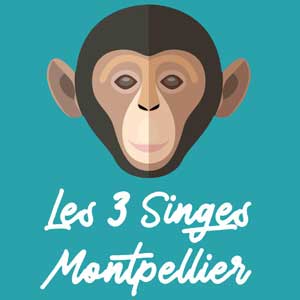 Les 3 singes